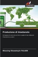 Produzione di bioetanolo (Italian Edition) 620949983X Book Cover