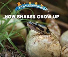 How Snakes Grow Up 1978512473 Book Cover
