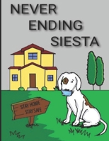NEVER ENDING SIESTA B0892HXZC9 Book Cover