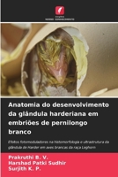 Anatomia do desenvolvimento da glândula harderiana em embriões de pernilongo branco (Portuguese Edition) 6209572960 Book Cover
