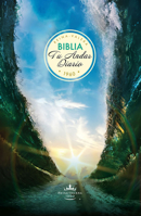 Biblia Tu Andar Diario / General / Rustica = Your Daily Walk Bible / General / PB 0789922150 Book Cover