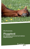 Flugpferd: Ein Märchen basierend auf wahren Begebenheiten (German Edition) 3710323347 Book Cover
