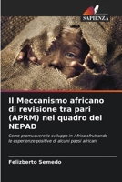 Il Meccanismo africano di revisione tra pari (APRM) nel quadro del NEPAD 6207331443 Book Cover