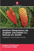 Análise fitoquímica de Zngiber Zerumbet (L) Roscoe Ex Smith (Portuguese Edition) 6139744628 Book Cover