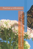 Luces y abstracciones de la experiencia: Poemas y reflexiones (Spanish Edition) B0HDJMF8L9 Book Cover