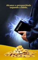 Alcance a prosperidade segundo a bíblia (Portuguese Edition) B0CTTY26MG Book Cover