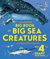 Big Book of Big Sea Creatures 0794532446 Book Cover