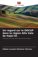 Un regard sur le DOCUP dans la région Alto Vale do Itajaí-SC 6206237893 Book Cover