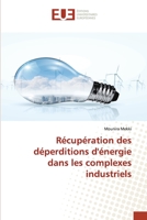 Récupération des déperditions d'énergie dans les complexes industriels 3639622650 Book Cover