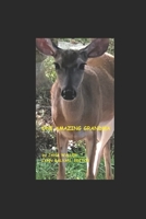 One Amazing Grandma B0BXNCQH1X Book Cover