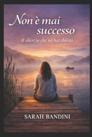 Non è mai successo: Il silenzio che mi hai chiesto (Italian Edition) B0GDZPJJGB Book Cover