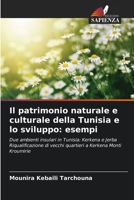 Il patrimonio naturale e culturale della Tunisia e lo sviluppo: esempi 6206236072 Book Cover
