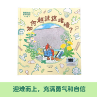 How to Get Past This Wall? (Chinese Edition) 7521775007 Book Cover