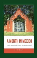 A Month In Mexico: Tales of work and travel in another world B0BXNFHB68 Book Cover