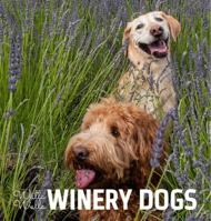Walla Walla Winery Dogs 0692289496 Book Cover