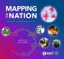 Mapping the Nation: Governments Coordinated Responses to Crises null Book Cover