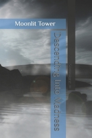 Descending Into Madness: Moonlit Tower B0DFHDBP72 Book Cover