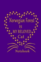 Norwegian Forest Is My Beloved Cat Notebook: Cat Lovers journal Diary,Elegant Gift For Norwegian Forest Cat Lovers. B083XTH7MH Book Cover