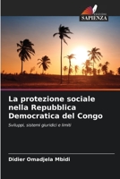 La protezione sociale nella Repubblica Democratica del Congo: Sviluppi, sistemi giuridici e limiti 620611287X Book Cover