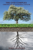 The God Complex: Chronicles of the Stonewall Asylum 163751090X Book Cover