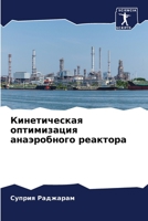 Кинетическая оптимизация анаэробного ре& 6204094416 Book Cover