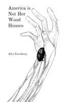 America is Not Her Wood Houses 1312463279 Book Cover