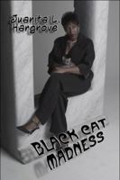 Black Cat Madness 160703557X Book Cover
