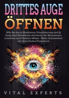 Drittes Auge Öffnen: Wie Sie durch Meditation, Visualisierung und Qi Gong Ihre Zirbeldrüse aktivieren, Ihr Bewusstsein erweitern und Chakren öffnen - ... mit dem Chakra Praxisbuch (German Edition) 3989358979 Book Cover