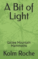 A Bit of Light: Galtee Mountain Mammoths B0H7MPHWQ7 Book Cover