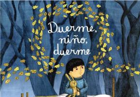 Duerme, Nino, Duerme 8566344324 Book Cover