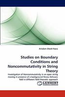 Studies on Boundary Conditions and Noncommutativity in String Theory 3844326804 Book Cover