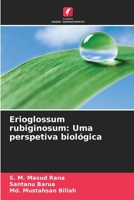 Erioglossum rubiginosum: Uma perspetiva biológica (Portuguese Edition) 6630317262 Book Cover