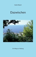 Dazwischen: Ein Weg zur Heilung 3756896676 Book Cover