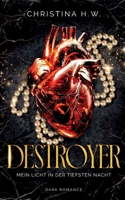 Destroyer: Mein Licht in der tiefsten Nacht (German Edition) 3819297952 Book Cover