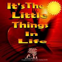 It's the Little Things in Life 152326067X Book Cover