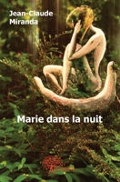 Marie dans la nuit (French Edition) 2356079491 Book Cover