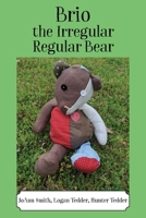 Brio, the Irregular Regular Bear 1977211305 Book Cover