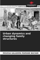 Urban dynamics and changing family structures 6202470321 Book Cover