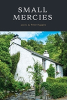 Small Mercies 0998636258 Book Cover