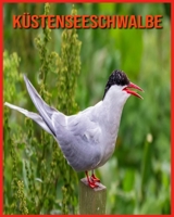 Küstenseeschwalbe: Unglaubliche Bilder und Wissenswertes über Küstenseeschwalbe B08WS5DJ6P Book Cover