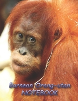 Bornean Orang-utan NOTEBOOK: notebooks and journals 110 pages (8.5x11) 1692737368 Book Cover