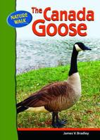 The Canada Goose (Nature Walk) 0791091139 Book Cover