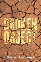 Broken Object 1398490105 Book Cover