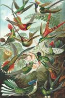 Haeckel scientific biological art notebook: Vintage Science Illustrations N°99 from "Kunstformen der Nature" / "Art forms in nature" ; composition journal with 120 pages of blank wide ruled line paper 1796372455 Book Cover