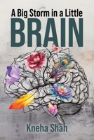 A Big Storm in a Little Brain 183418536X Book Cover