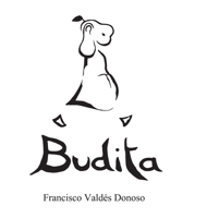 Budita (Spanish Edition) 9566131992 Book Cover