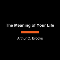 The Meaning of Your Life: Finding Purpose in an Age of Emptiness B0FHJTRDH1 Book Cover