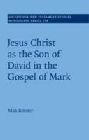 Jesus Christ as the Son of David in the Gospel of Mark 1108702147 Book Cover