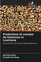 Produzione di energia da biomassa in Louisiana (Italian Edition) 6208621305 Book Cover