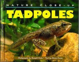 Nature Close-Up - Tadpoles (Nature Close-Up) 1567111793 Book Cover